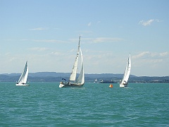 DSCN9992