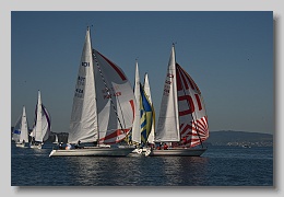 D81_7755