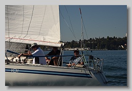 D81_7806