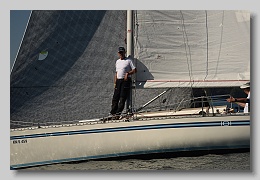 D81_7811
