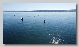 DJI_0404