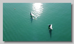 DJI_0417
