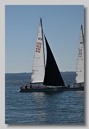 NZ8_9498