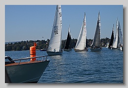 NZ8_9509