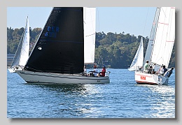 NZ8_9529