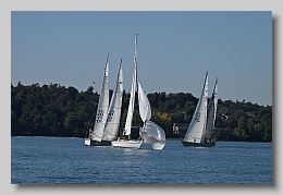 NZ8_9559