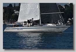 NZ8_9576