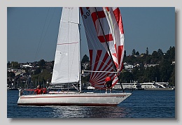 NZ8_9590