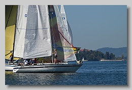 NZ8_9592