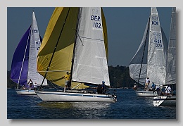 NZ8_9593