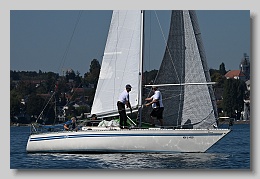NZ8_9596