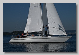 NZ8_9604