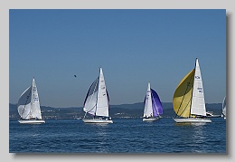 NZ8_9606