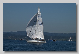 NZ8_9614