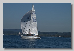 NZ8_9617