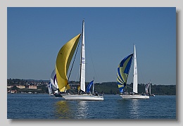 NZ8_9623