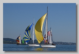 NZ8_9624