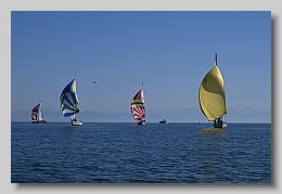 NZ8_9628