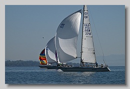 NZ8_9630