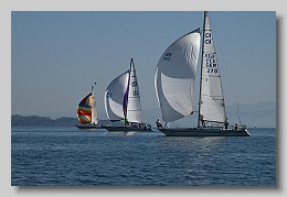 NZ8_9632