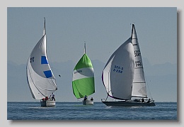 NZ8_9640