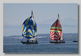NZ8_9644