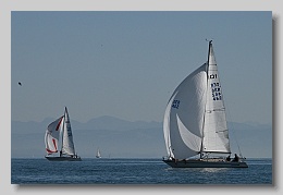 NZ8_9659