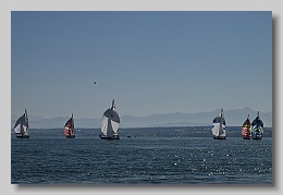 NZ8_9661