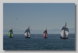 NZ8_9662
