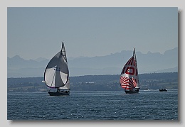 NZ8_9663