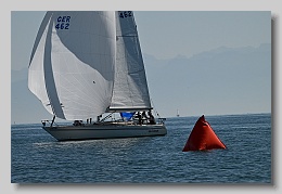 NZ8_9667