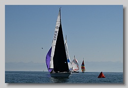 NZ8_9674