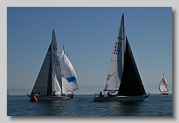 NZ8_9676