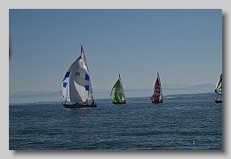 NZ8_9679