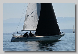 NZ8_9694
