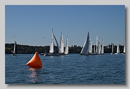NZ8_9716