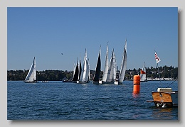 NZ8_9723