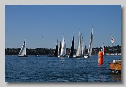 NZ8_9724