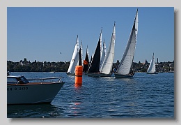 NZ8_9728