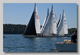 NZ8_9736