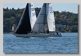 NZ8_9741