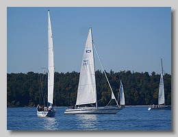 P1253769