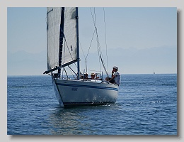 P1253788