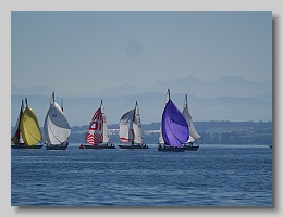 P1253805