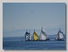 P1253806