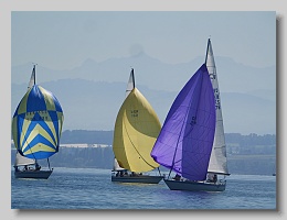 P1253811