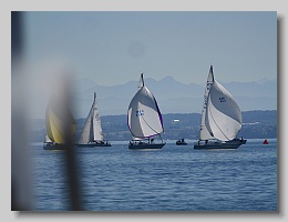 P1253813
