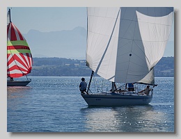 P1253818
