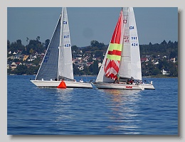 P1253833