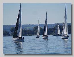 P1253852